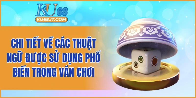 Chi tiết về các thuật ngữ được sử dụng phổ biến trong ván chơi